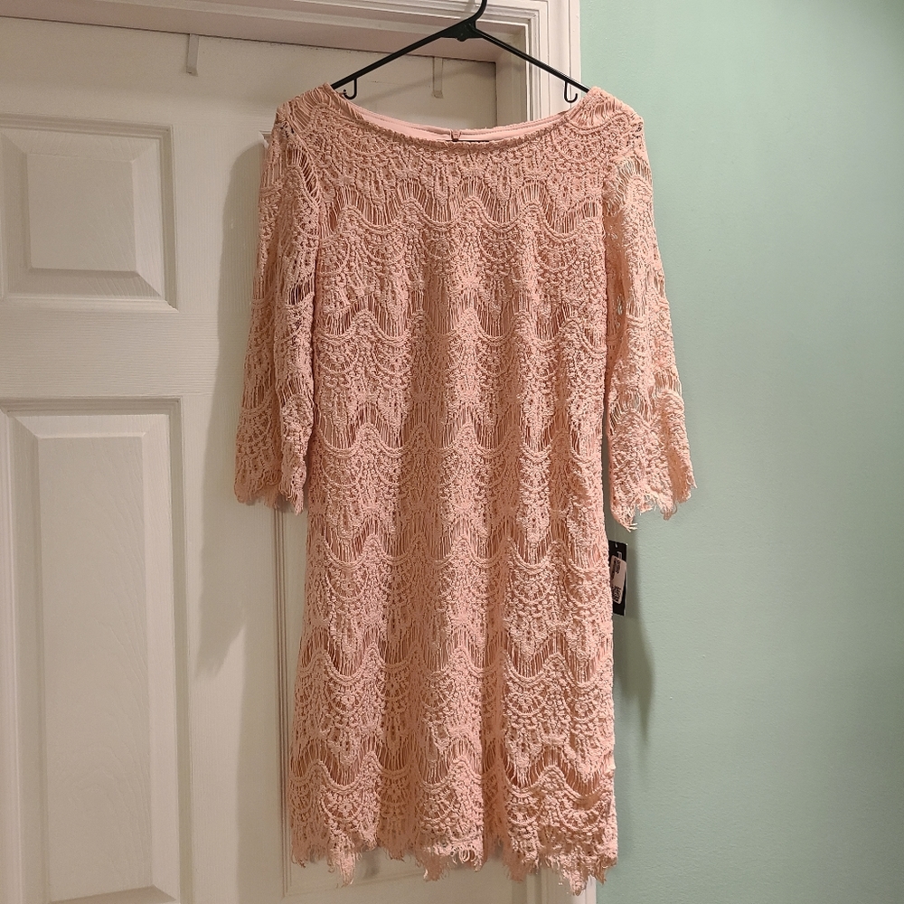 Pale Rose Lace Sheath Dress